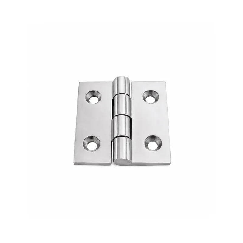Door Hinge